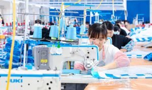 SEWING & ASSEMBLY